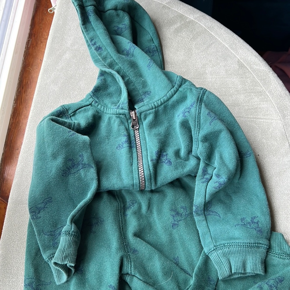 Dinosaur Sweatsuit 🦖🦕